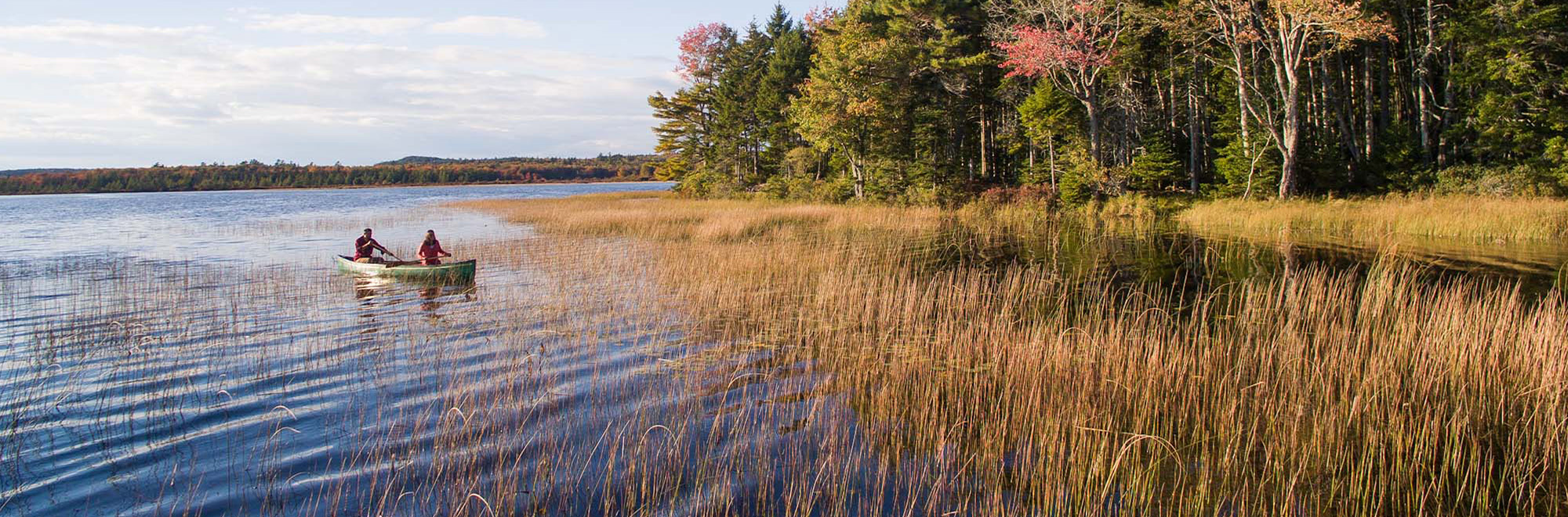 Forbes Header Img 0119 2000x660