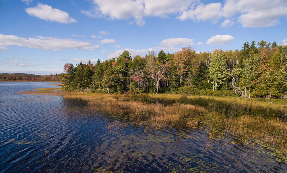 Forbes Inset img 0074 1000x605