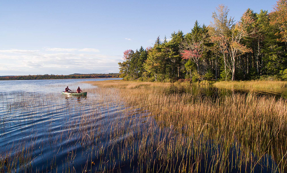 Forbes Inset img 0119 1000x605