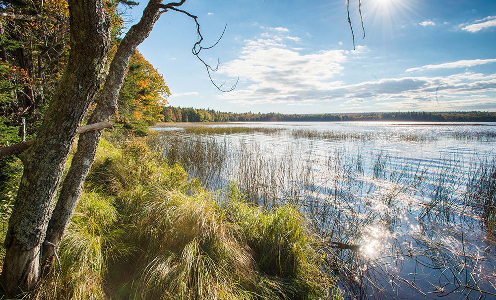 Forbes Inset img 06014 1000x605