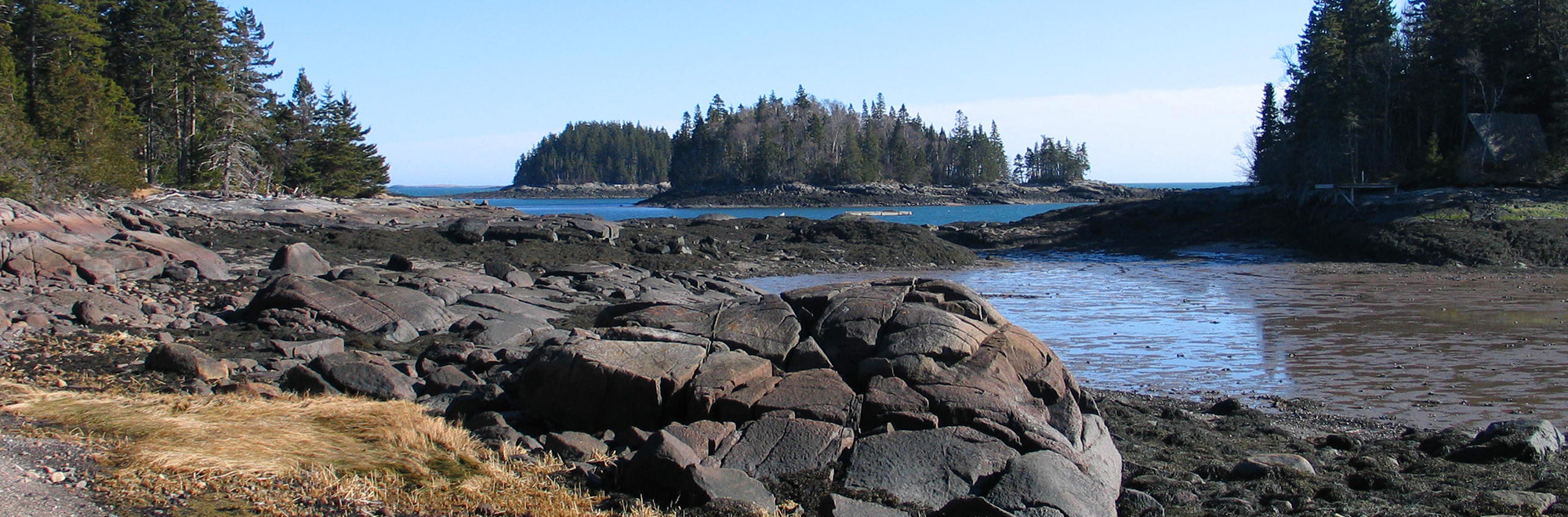 Frank E Woodworth Header Img Willard3 2000x660