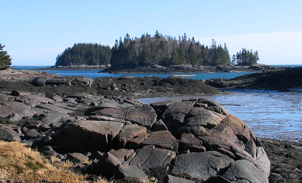 Frank E Woodworth thumb Img Willard3 2000x660