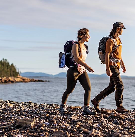 Frenchboro 270x275 1