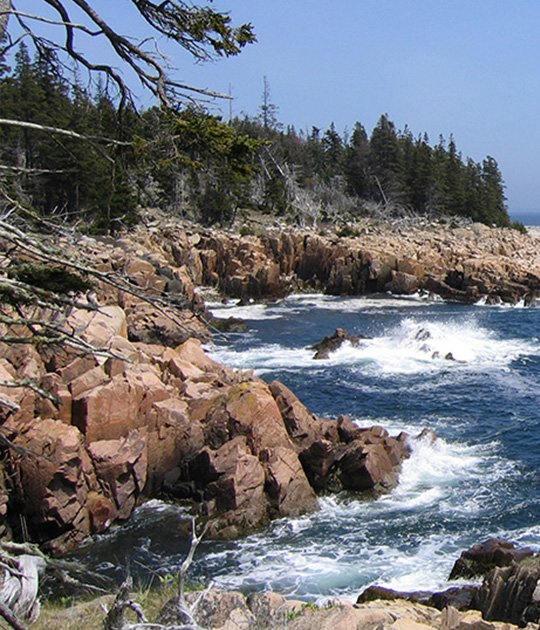 Frenchboro 270x275 2