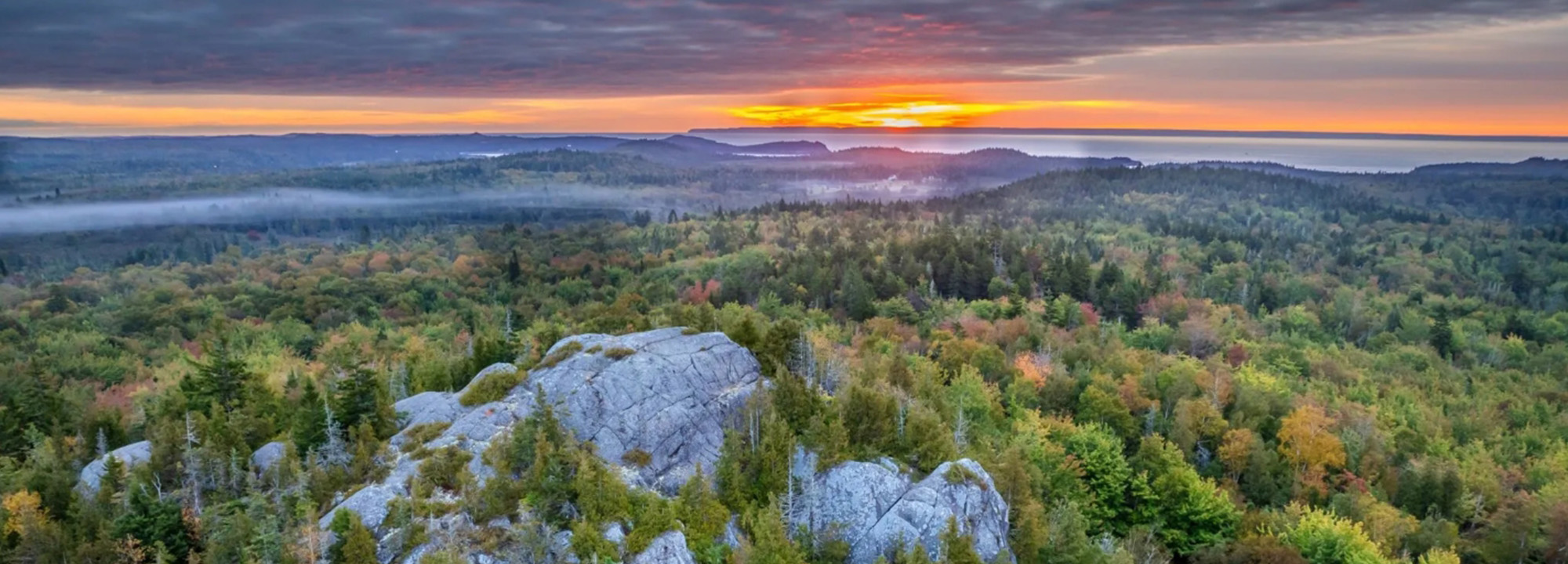 Get Involved Desktop Header 2000x720