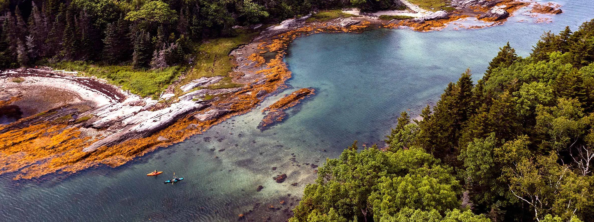 Get Involved Desktop Header 2000x750