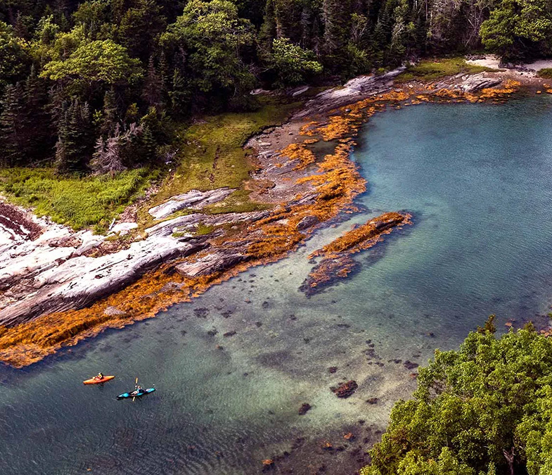 Get Involved Header Mobile 785x800