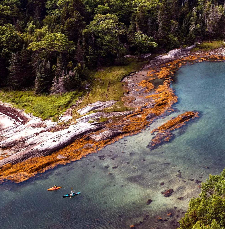 Get Involved Header Whaleboat Mobile 785x800