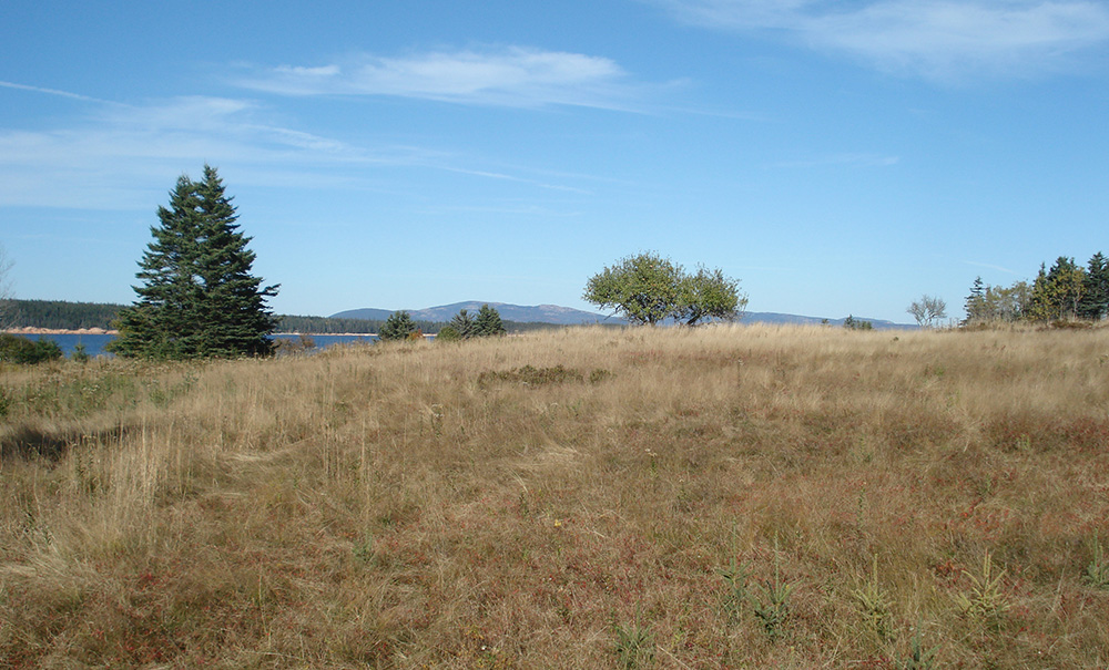 Great Gott Inset img Silver Farm 1000x605