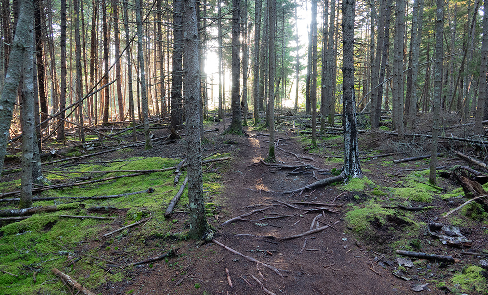 Harriman Inset img dsc3155 1000x605