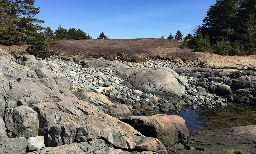 Hickey Inset img 2788 1000x605