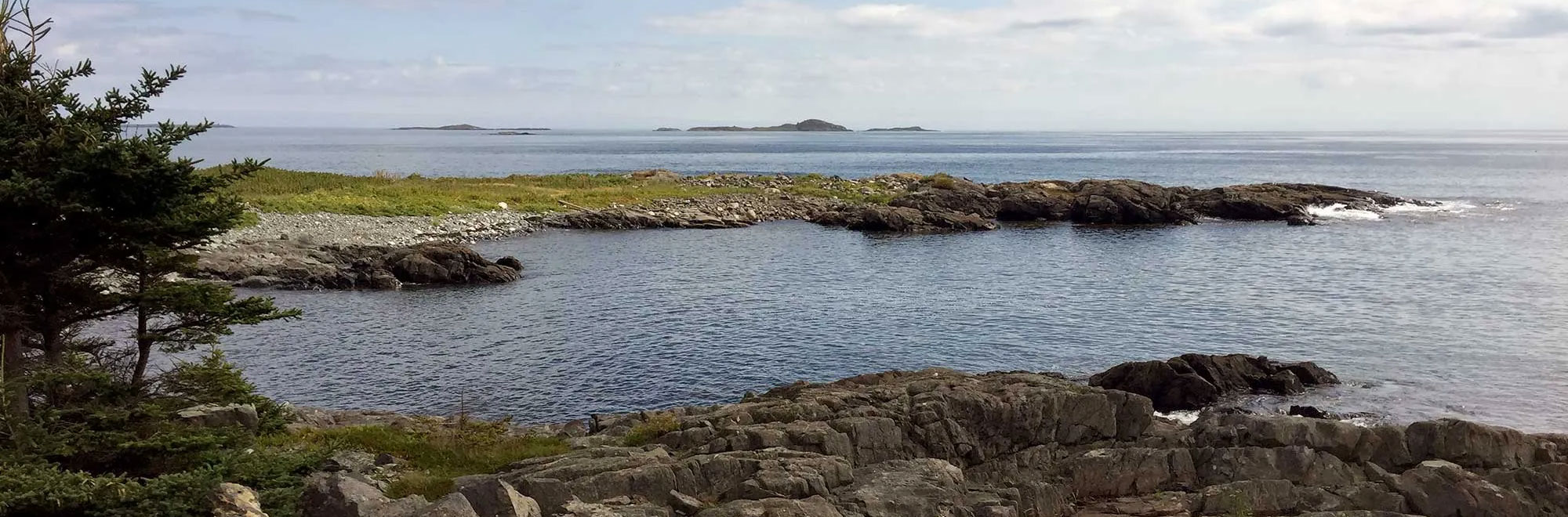 Hickey header IMG 3142 2000x660