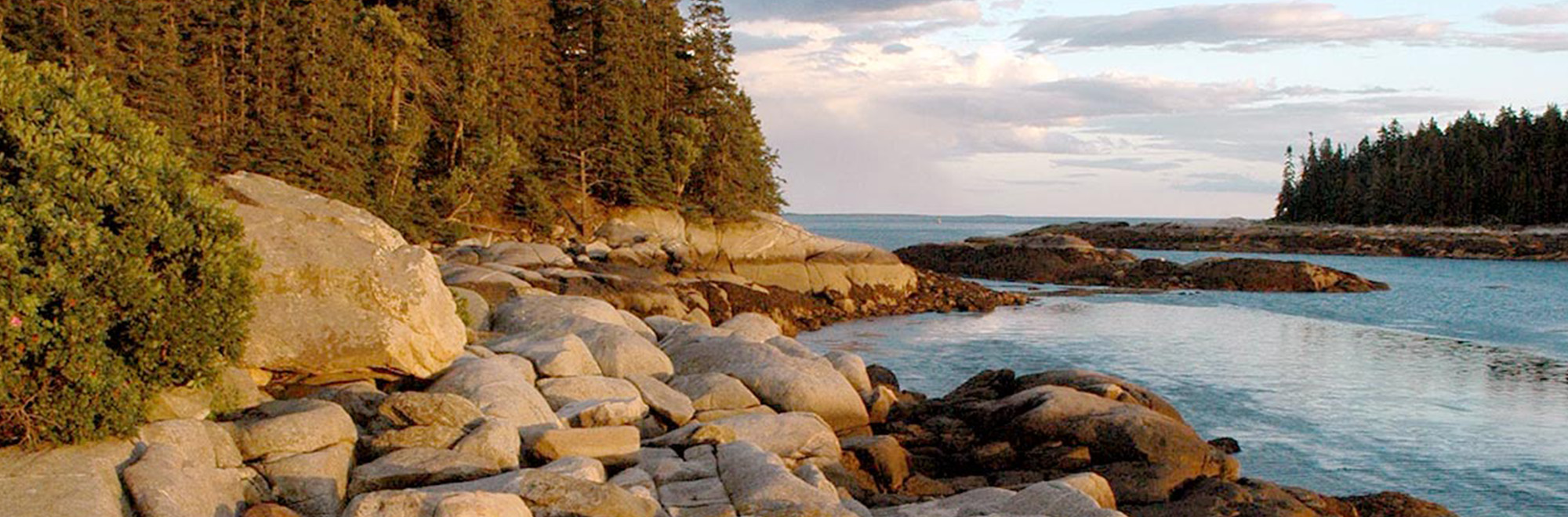 High Island Header Img 2705 2000x660