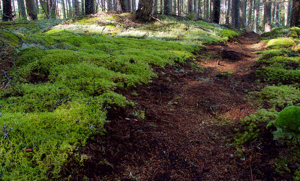 High Island Inset img 1020685 1000x605