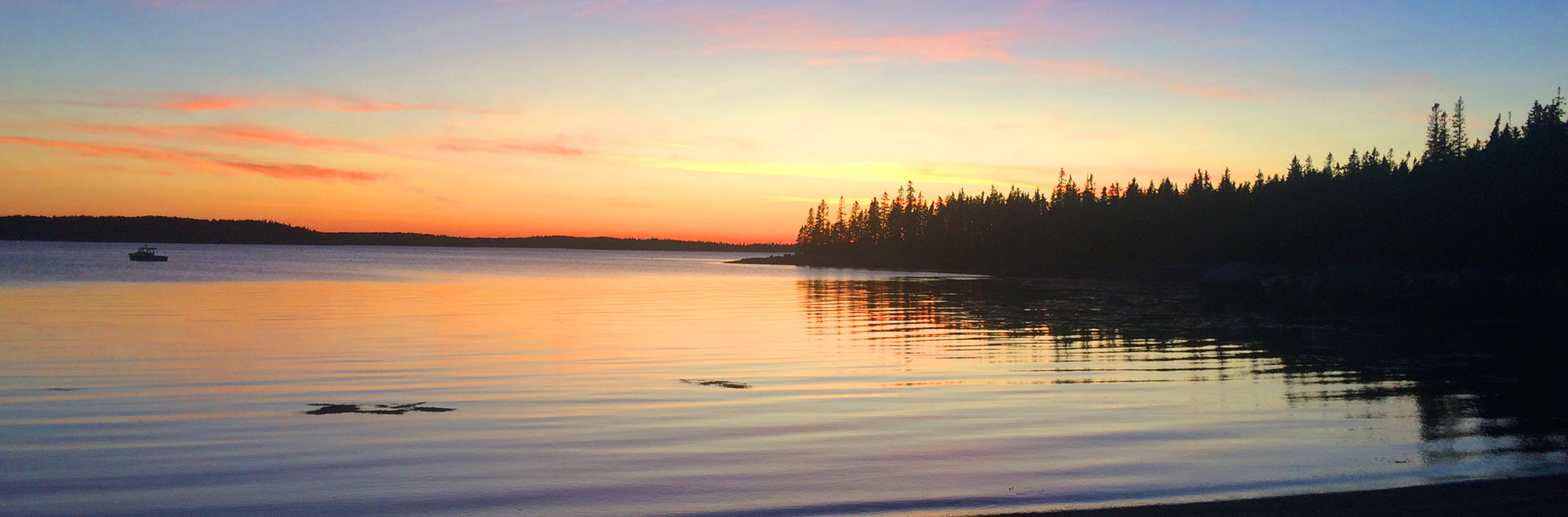 Hog Island Header Img 0573 2000x660