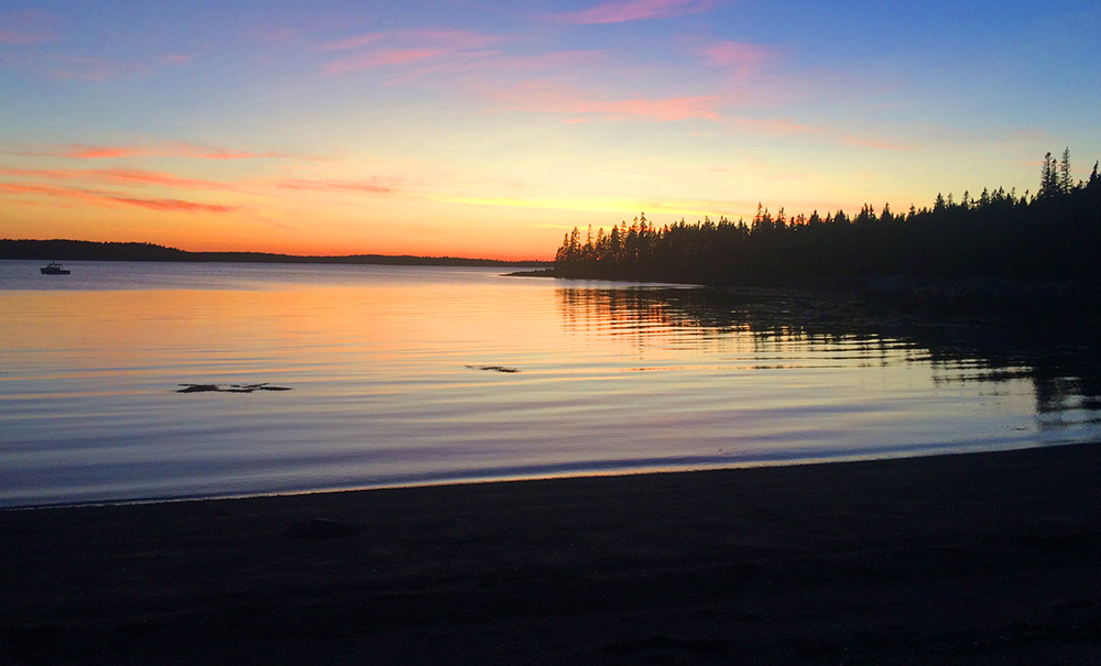 Hog Island Inset img hog 0573 1000x605