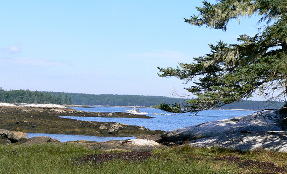 Hog Island Inset img hog easternshore 1000x605