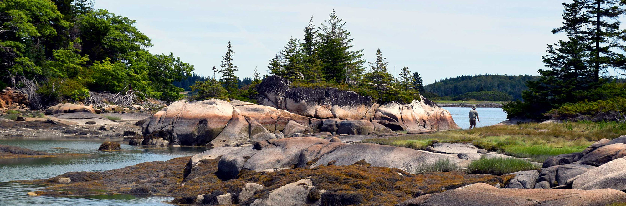 Hube Header Img 3375 2000x660