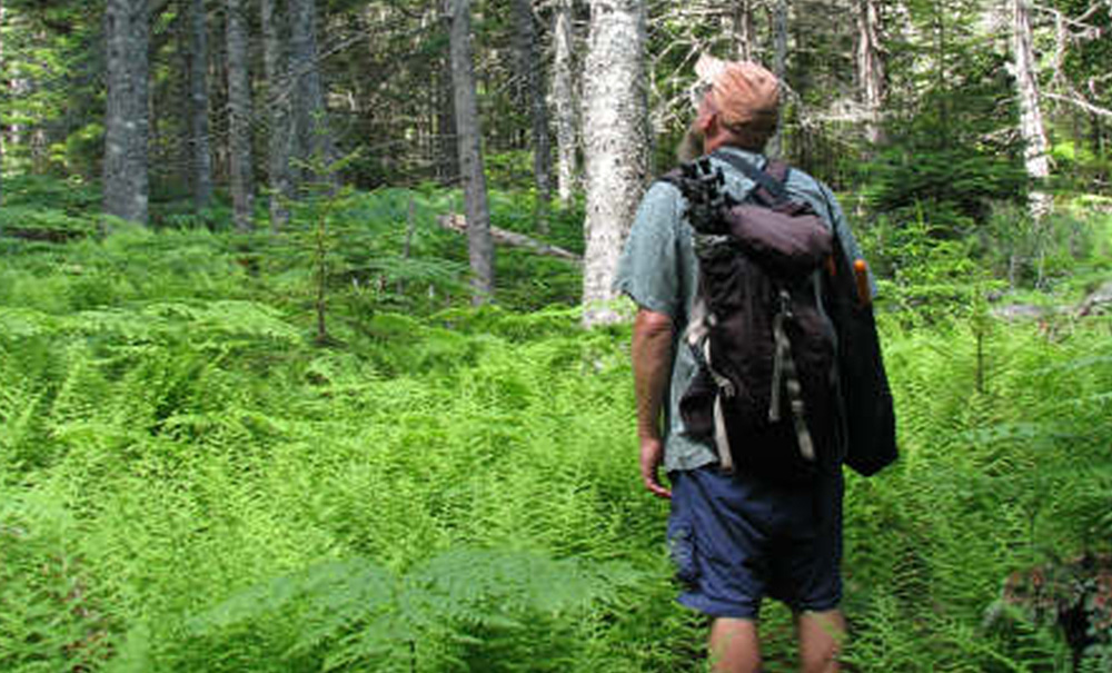 Huber Inset img 0125 1000x605