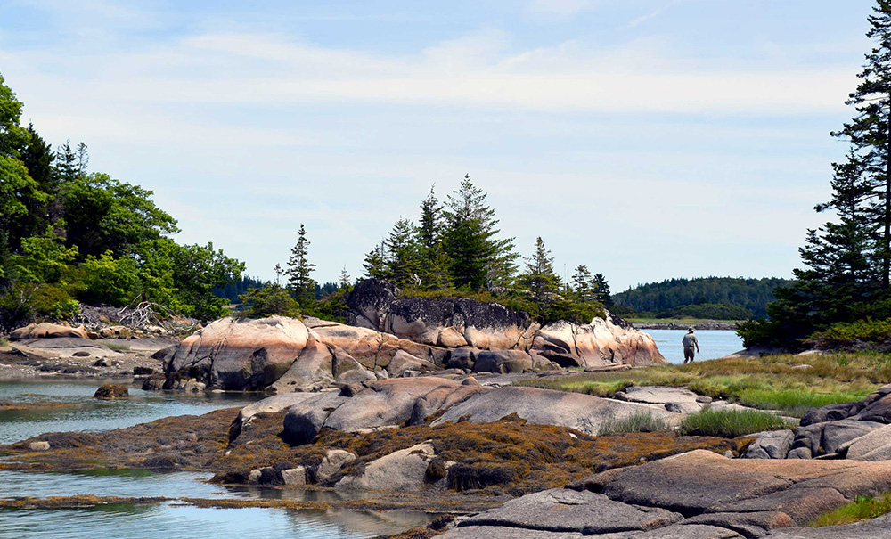 Huber Inset img 3375 1000x605