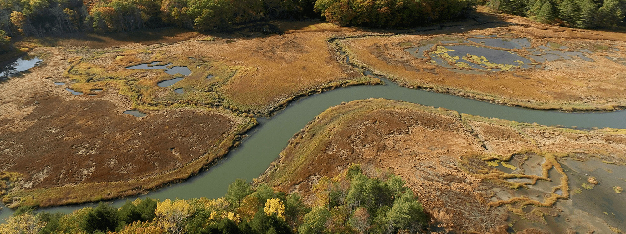 Impact Stories Desktop Header 2000x750