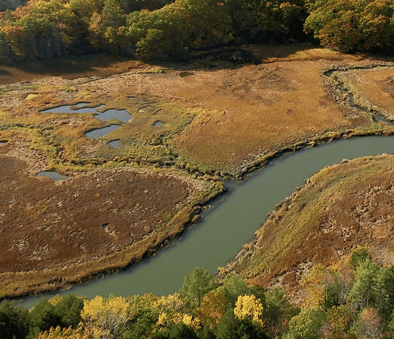 Impact Stories Header Mobile 785x800