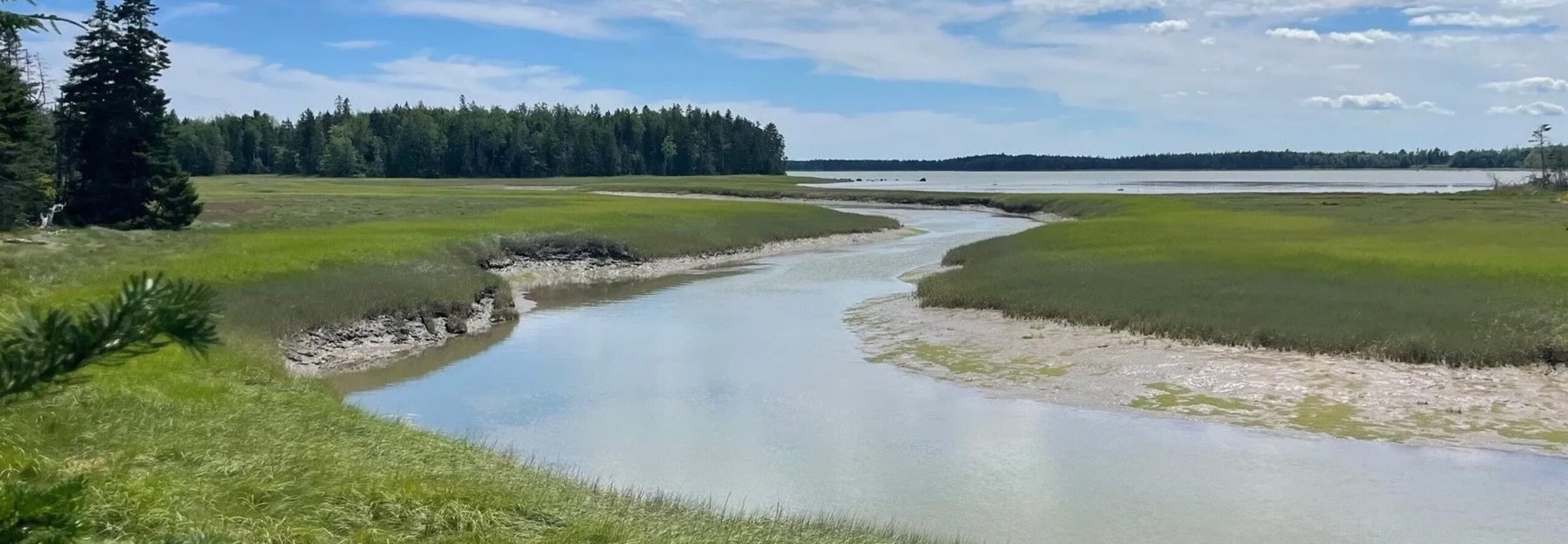 Initiatives Header Marsh 1440x500x2