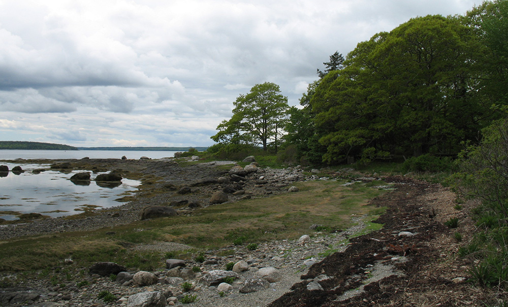 Jedis Island Inset img 0076 1000x605