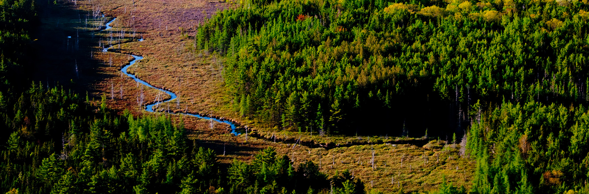 Kitteredge Header Img 071 2000x660