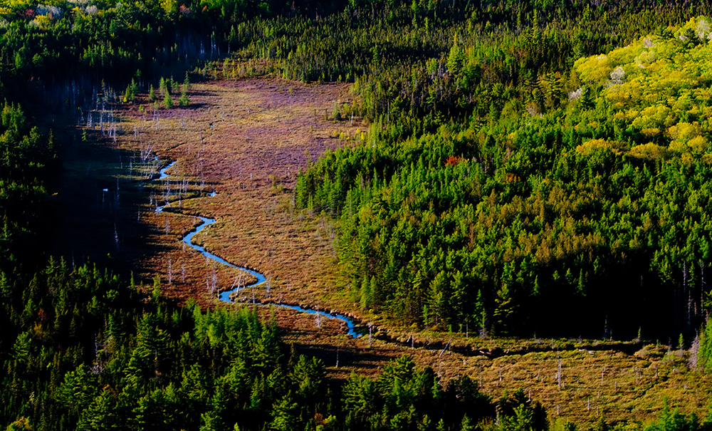 Kitteredge Thumb img 071 1000x605