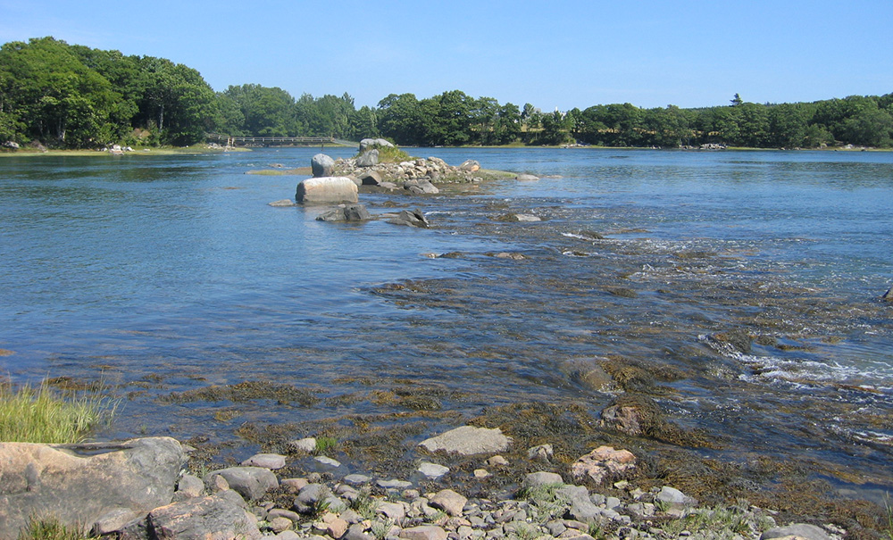 Lampson Thumb img 3090 1000x605