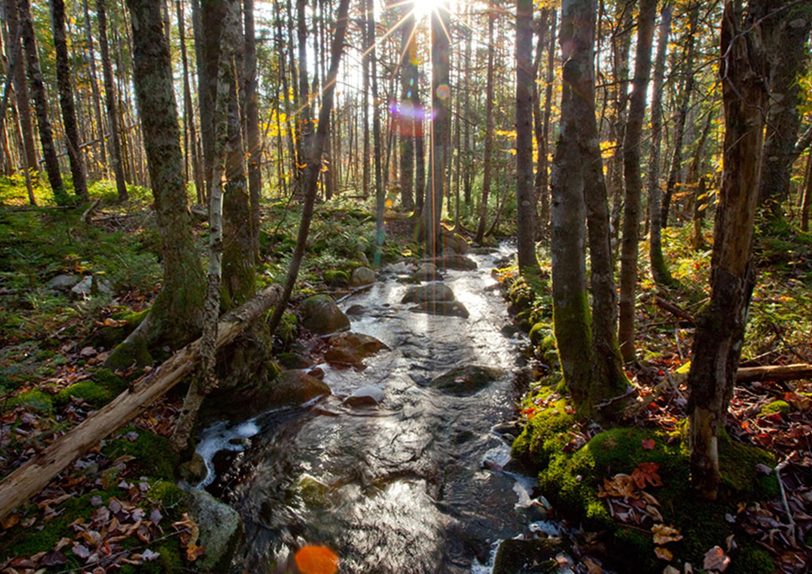 Less flooding 1600x1130