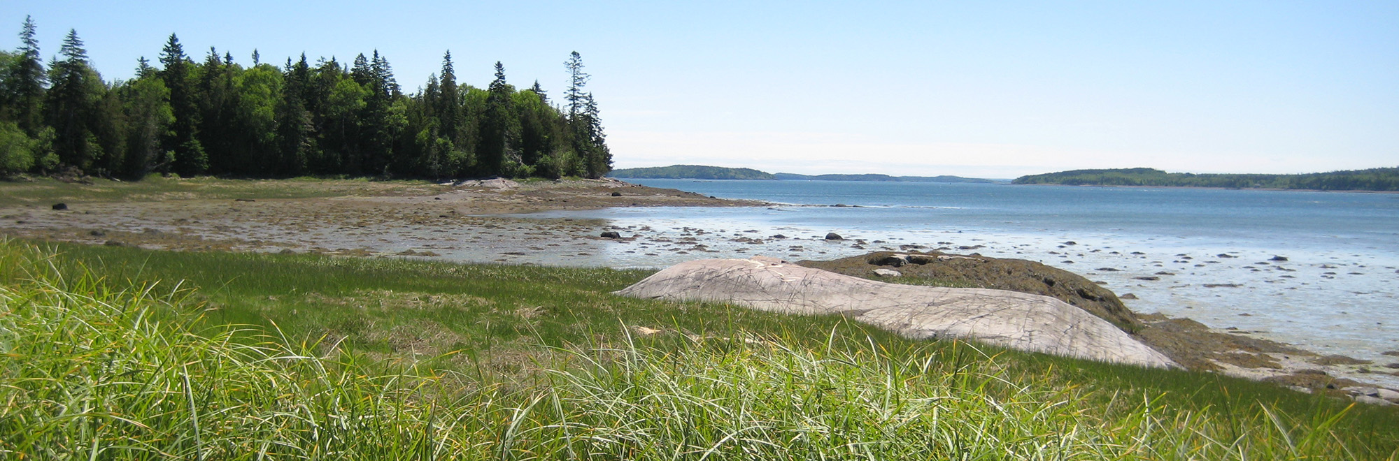 Lincoln Cove Header Img 005 2000x660