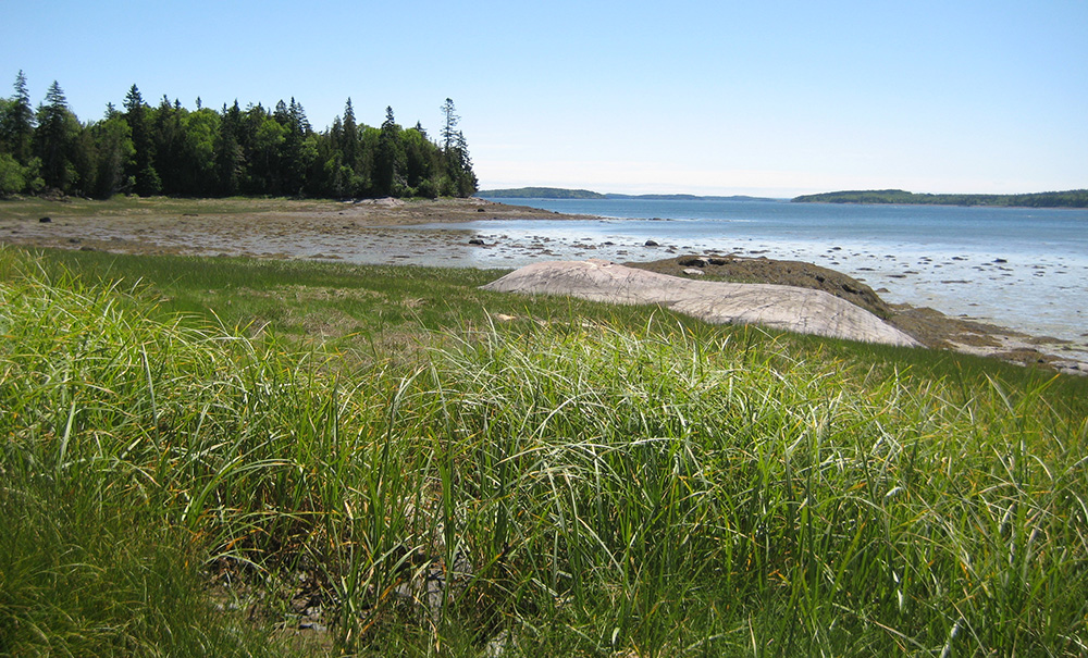 Lincoln Cove Thumb img 005 1000x605