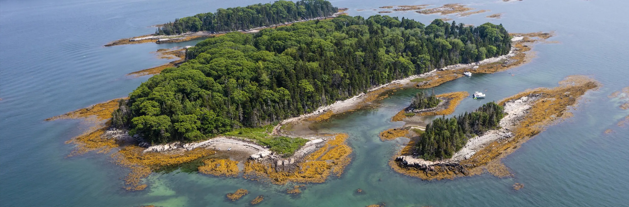 Little Whaleboat Header Img D20614 2000x660