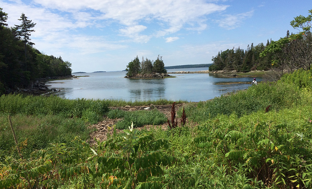 Little Whaleboat Inset img 20220826123726461 1000x605