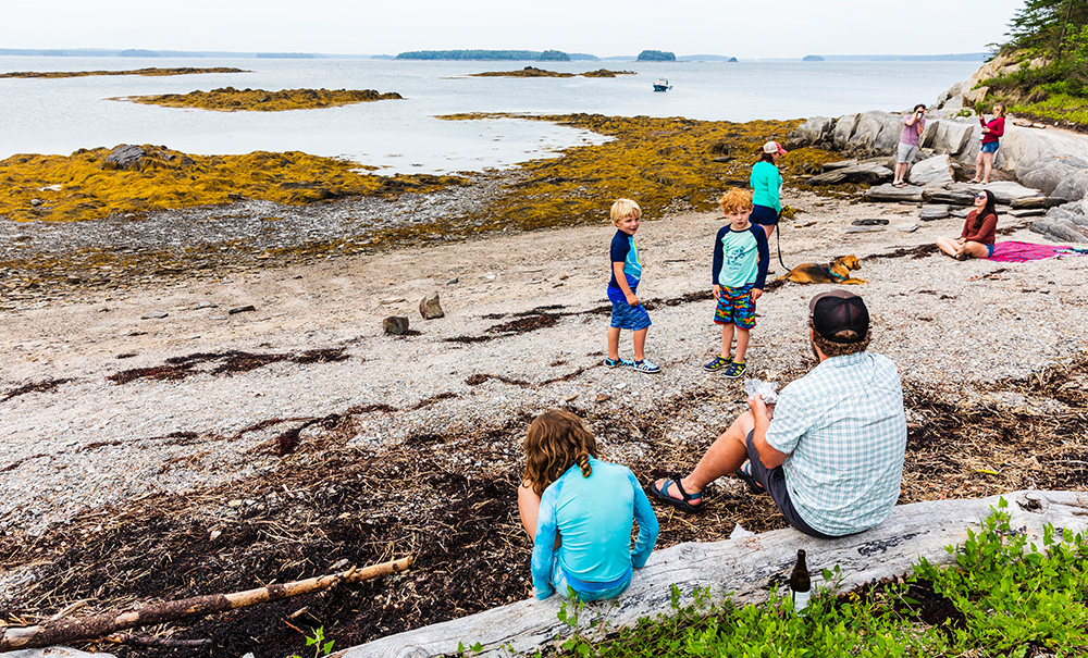 Little Whaleboat Inset img D20421 1000x605