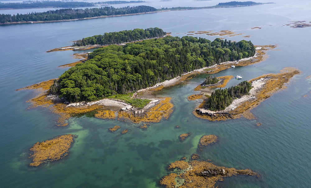 Little Whaleboat Inset img D20614 1000x605