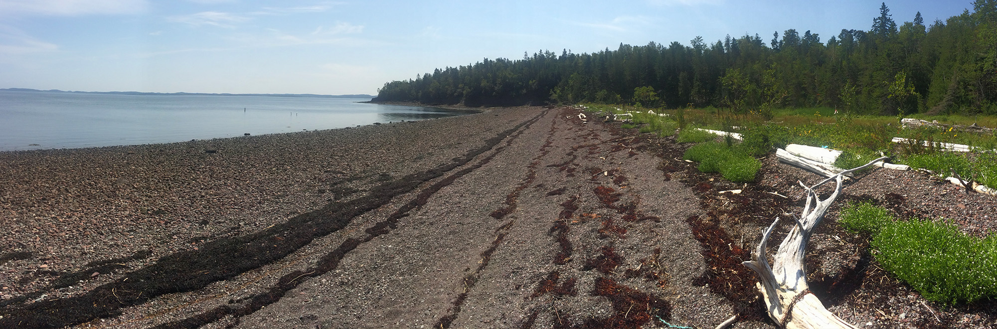 Loring Cove Header Img 0666 2000x660