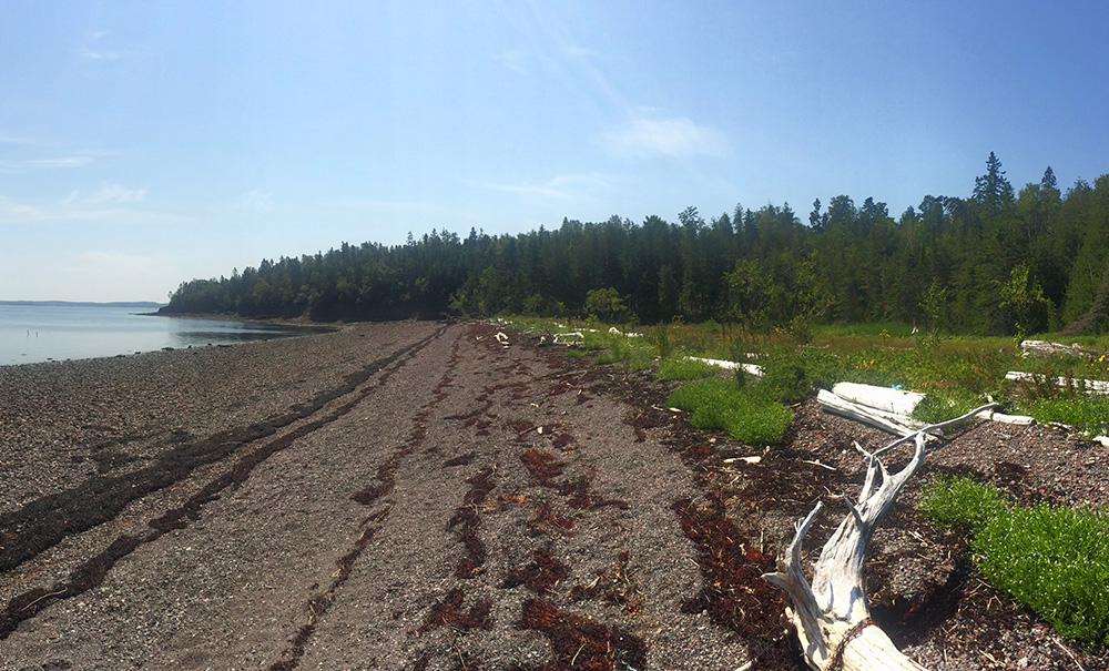 Loring Cove Inset img 0666 1000x605