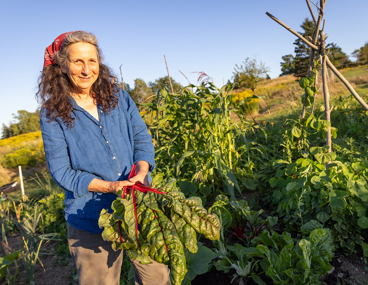 MDI Farming 1200x930