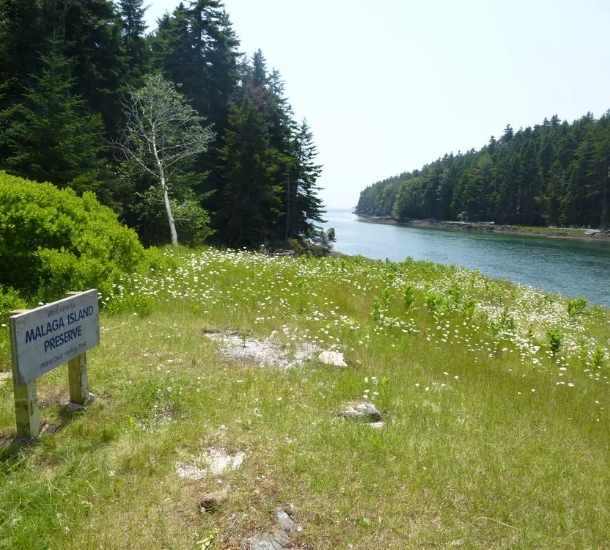 Malaga Island 305x275