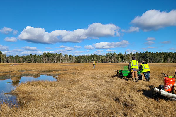 Marsh Stewardship