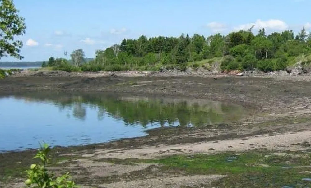 Mathews Island thumb Img e1556898147301 2000x660