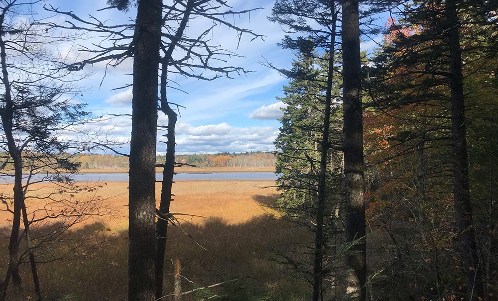 Meserve Head Inset img 1000x605