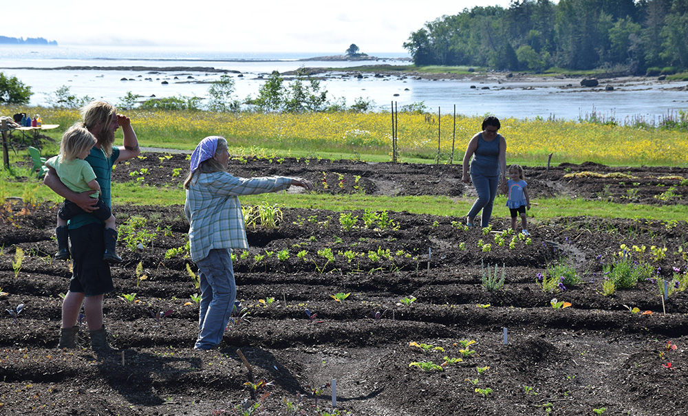 Millbridge Common Inset img DSC 0046 1000x605