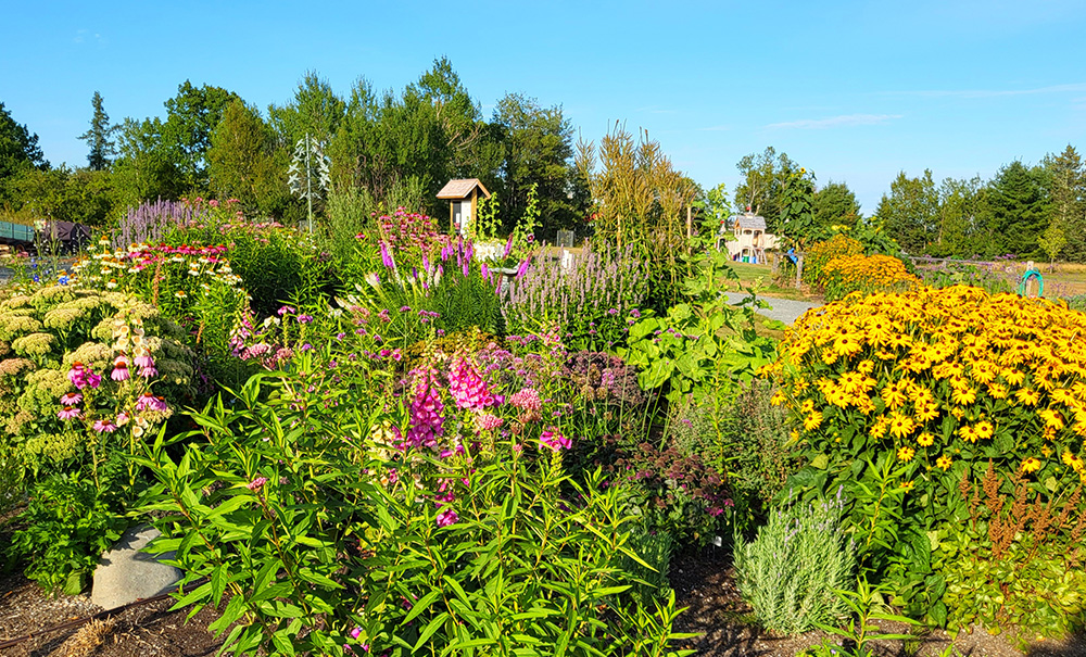 Millbridge Common Thumb img 174053 1000x605