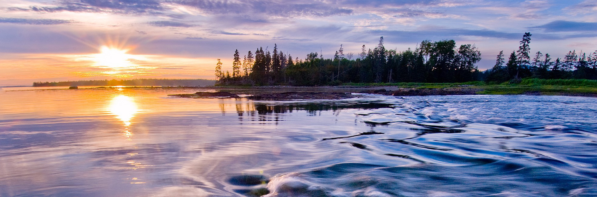 Mitchell Marsh Header Img 2000x660