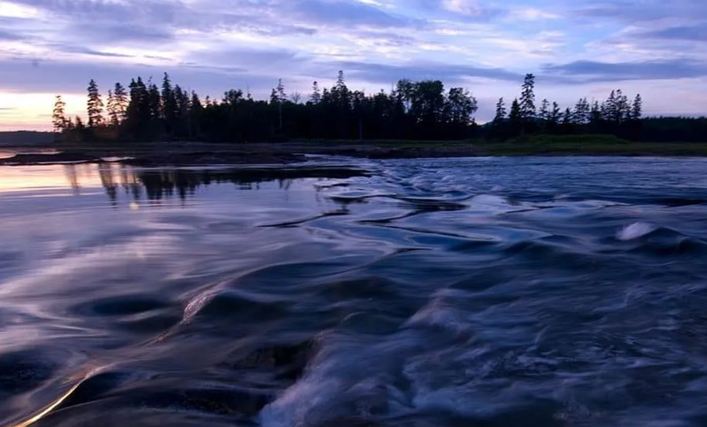 Mitchell Marsh Inset img 1557167387760 1000x605