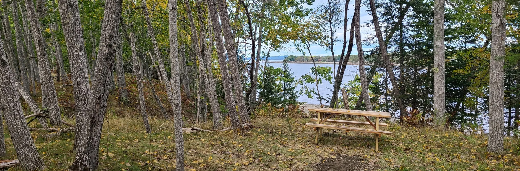 Morse Cove Header Img Morse Scaled 2000x660